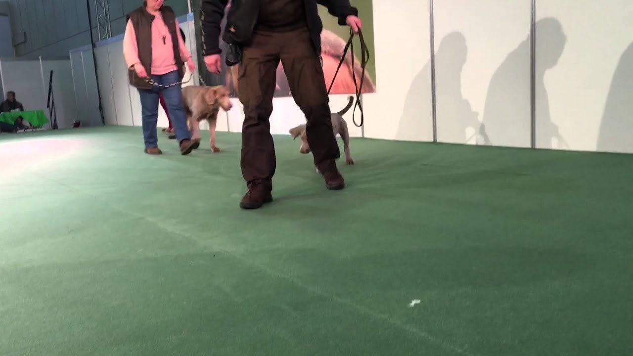 Unterwegs und besondere Geschichten – Video 3