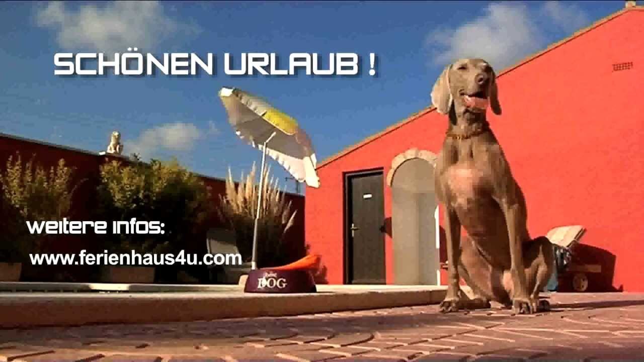 Unterwegs und besondere Geschichten – Video 2
