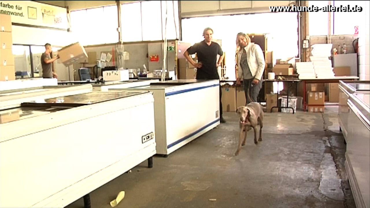 Alice Häuser mit Maya und Florian Kellner in der Versandhalle von haustierkost.de
