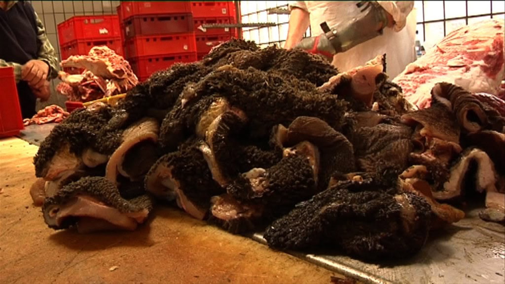 Frischer Pansen für die Rohfütterung