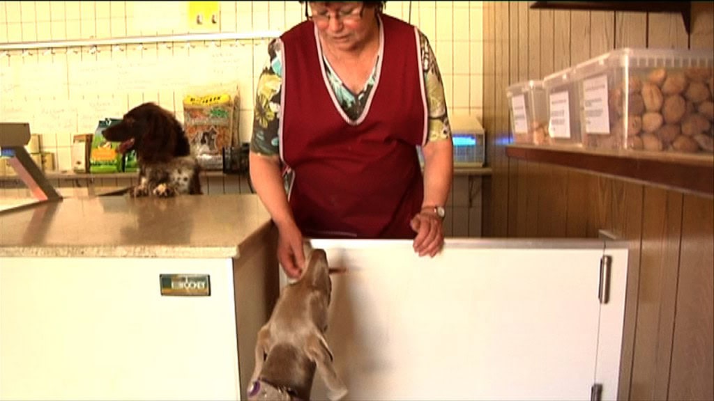 Maya bekommt ein Leckerchen in der Metzgerei