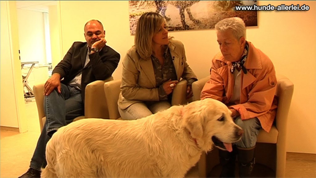 Hund Barney in der LESIA Tierklinik