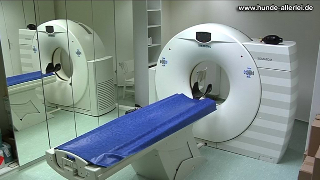 Computertomograf in der LESIA Tierklinik