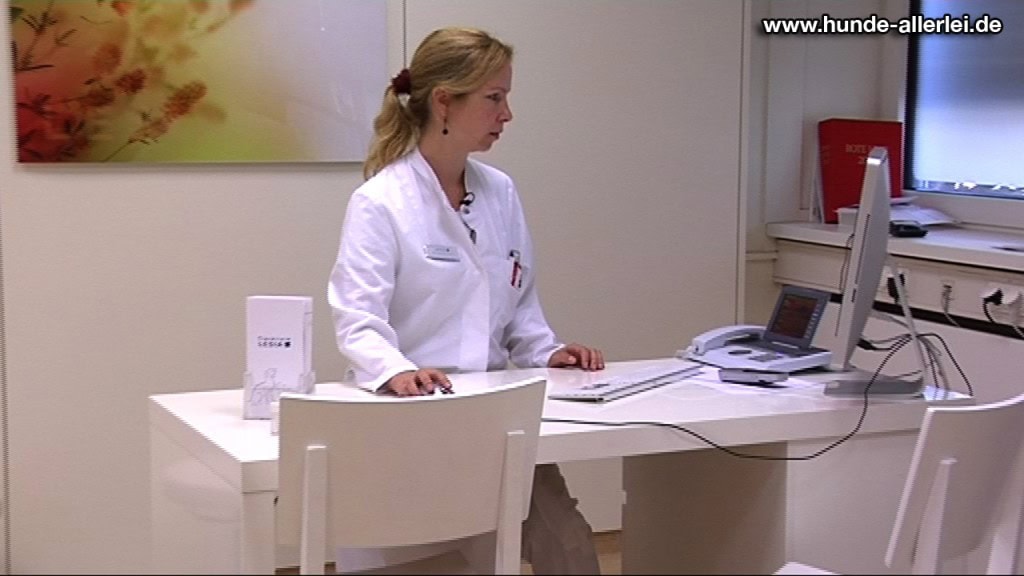 Tierarzt in der LESIA Tierklinik