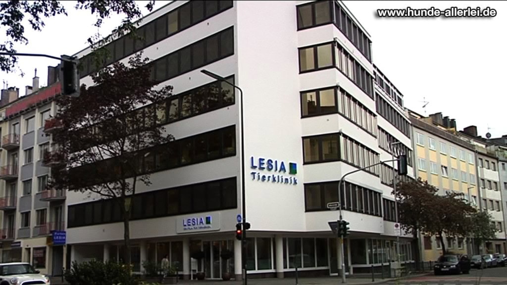 Außenansicht der LESIA Tierklinik