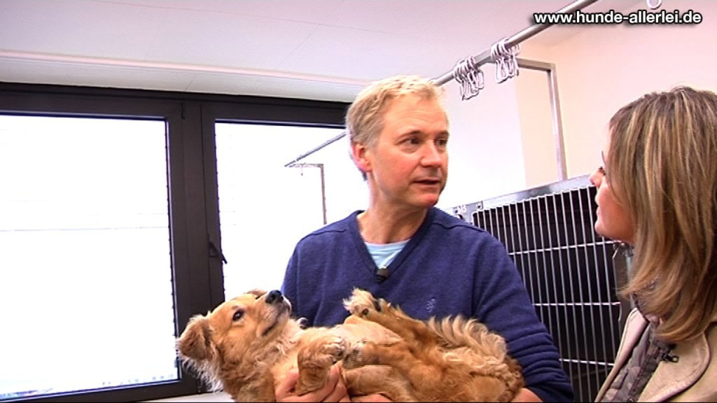 Mischling Tobi und LESIA Klinikchef Marco Lenzen Mischling Tobi und LESIA Klinikchef Marco Lenzen