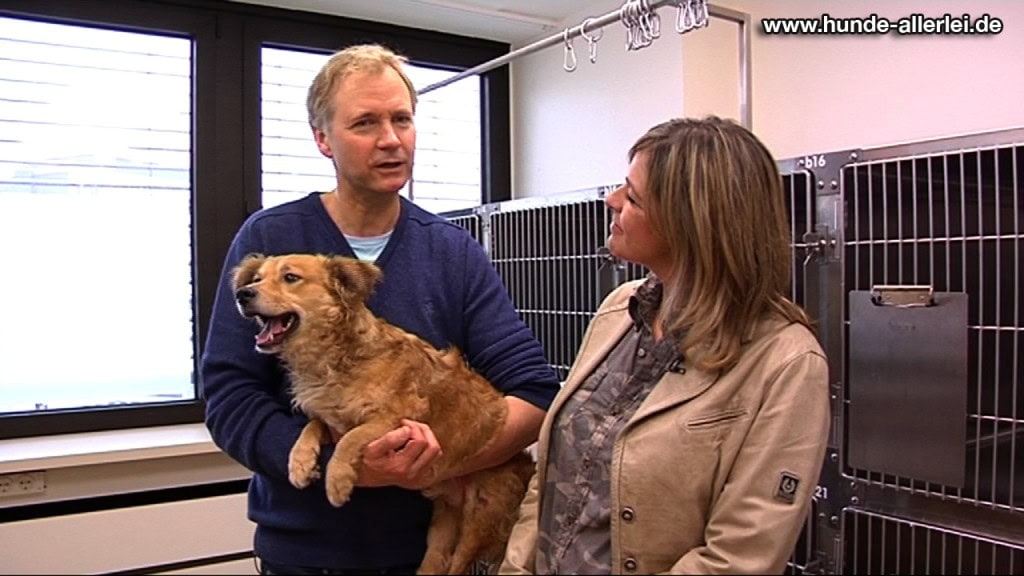 Menschen mit Hund in der LESIA Tierklinik