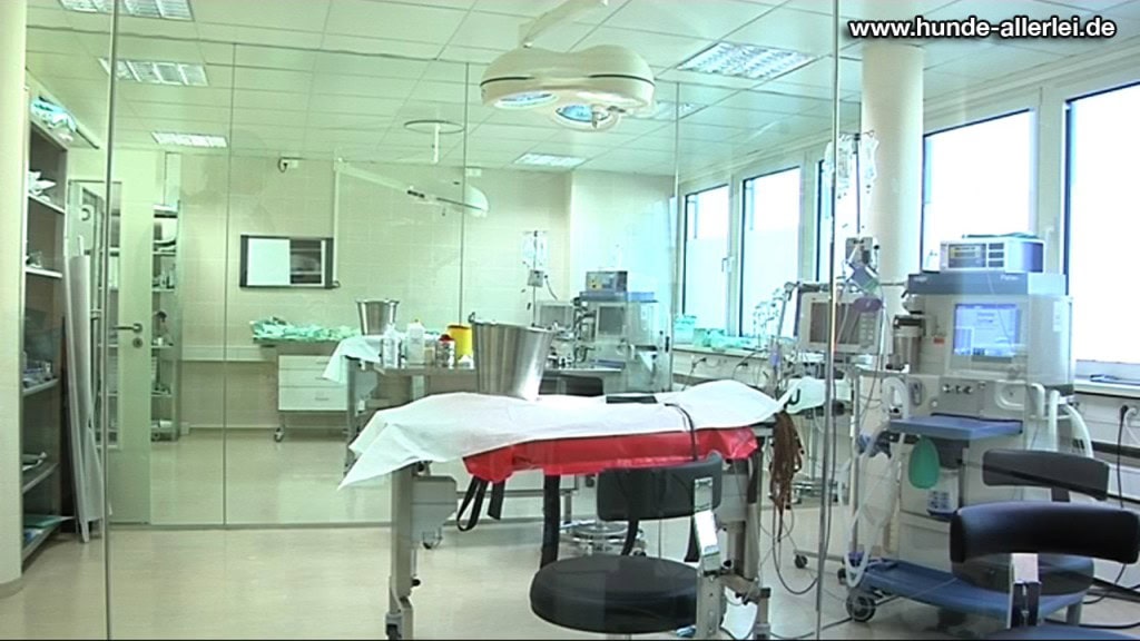 Operationssaal der LESIA Tierklinik