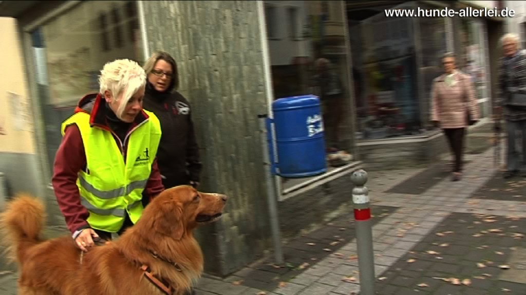 Traiteam Annette und Linek mit Karina Kalks Trail_Annette_und_Linek_mit_Karina