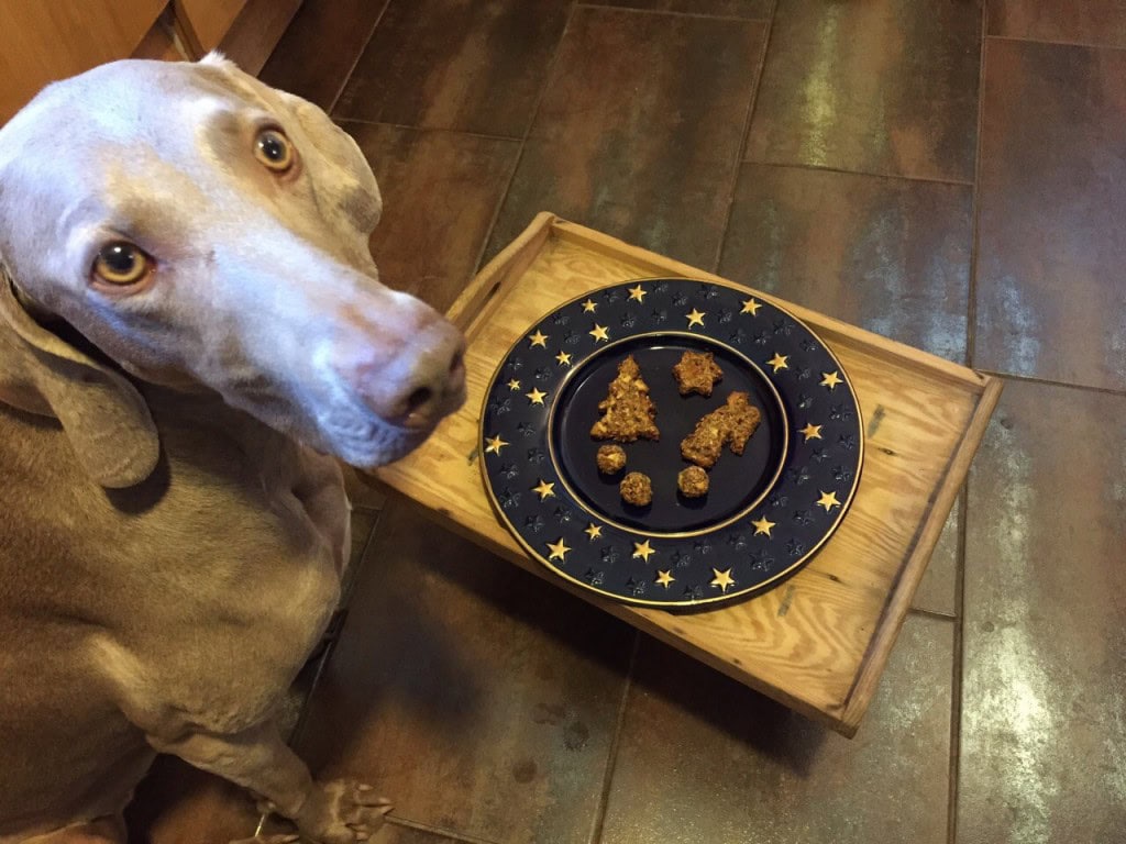 maya + x-mas hundekekse