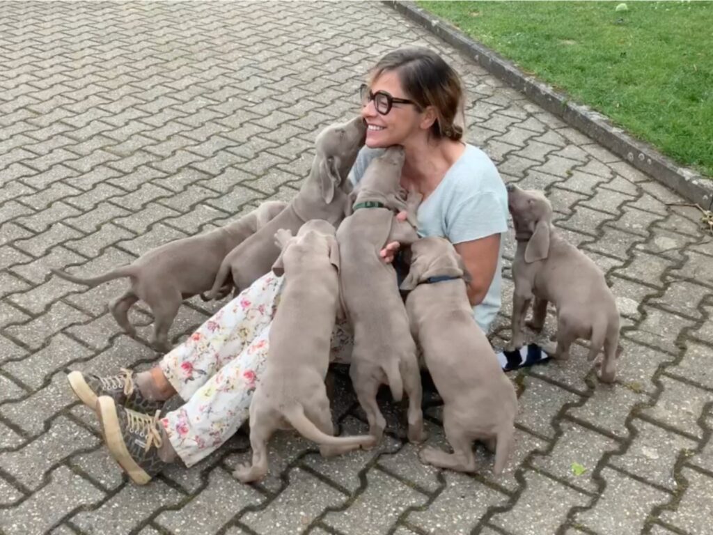 Alice mit Grovers Nachkommen vom Leymborgh