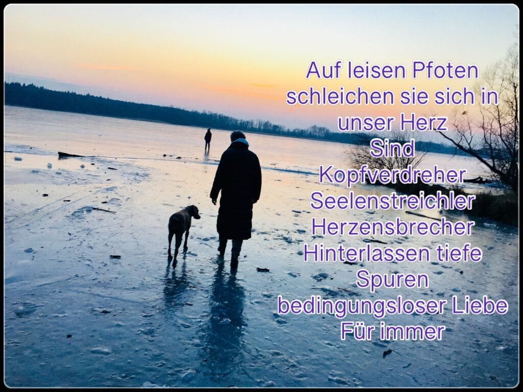Mensch mit Hund an einem winterlichen See, darüber ein Trauerspruch über die Liebe zu Hunden.